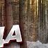 Погода на 12 января наиболее холодно на линии фронта снегом засыплет почти все регионы Украины