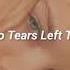 Ariana Grande No Tears Left To Cry Slowed Reverb Surround