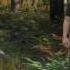 DAYZ STANDALONE 0 61 DUPE ESP UNARM DYNAMIC SERVER