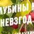 Б Ахмадулина Из глубины моих невзгод стихиолюбви поэты20века