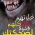 قرد قرودي بخويطهم كلهم شلع فدوة لضحكتك يرحون ترند تيك توك