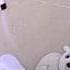 Колыбельная медведицы Lullaby Bear