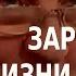 ACADEMIA Алексей Розанов Зарождение жизни на Земле 1 лекция Канал Культура