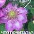 ЧТО ПОЧИТАТЬ Художественная православная литература православие христианство вера бог религия