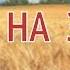 Самая нужная вещь на земле