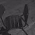 Thief Crawls Through Coffee Shop To Rob Jewelry Store Next Door FOX 11 LA
