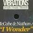 Sean McCabe Nathan Adams I Wonder Louie Vega Roots Mix