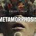 Metamorphosis Kafka