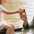 Girl S Apple Saved Him In Flood He Was Swept Away Tycoon Destiny Flipped