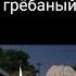 Gacha Life Мальчик грёбаный обманщик