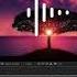 How To Create Reactive Audio Spectrum Waveform Effects In Adobe After Effects Tutorial IN DeLight