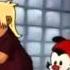 Animaniacs Please Please Please Get A Life Foundation