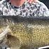 Episode 25 2025 Chasing Giants On Eagle Lake FULL EPISODE