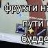понос бобра