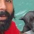 Panther Swimming Kar Raha