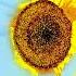 Ace Of Base Cruel Summer Instrumental Version