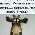 прикольноевидео 60 5 Memes