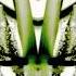 Playboy In Da Jungle Mod Wheel Safari Mix 1996