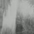 MELANIE SAFKA Some Say I Got Devil