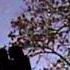 For Emily Whenever I May Find Her By Simon And Garfunkel