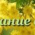 Дыхание весны