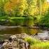 Jean Sibelius Symphony No 5 In E Major Herbert Von Karajan Berlin Philharmonic 1965 24 192