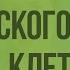 Особенности химического состава клетки Видеоурок по биологии 10 класс