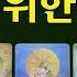 타로 나를 위해 이루어질 기적 지금 기적의 씨앗이 이미 자라고 있어요