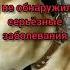 Идём к собачьему терапевту Часть пятая заключительная лабрадор милыеживотные ветклиника