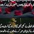 Urdu Poetry Video Music Song Shorts Quotes Urdupoetry Deeplines Whatsappstatus Viralvideo