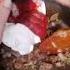 ГУЛЯШ ИЗ ГОВЯДИНЫ САМЫЙ ПРОСТОЙ РЕЦЕПТ 炖牛肉Dùn Niúròu GOULASH КАЗАХСТАН ВКУСНАЯ КУХНЯ АЛЛА КОРБУТ