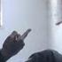 Dave East The Offering Official Video