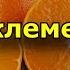 Состав клементинов Витаминный состав Полезные свойства