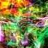 Psychaos Perception Of Reality