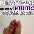Ajna Yoga Mudra Benefits Third Eye Command Wheel Hand Gesture
