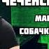 Враг Чеченского Народа Мансур из Аргуна Cобачку Адама Хизриева