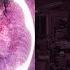 Alan Walker Force Jim Yosef Lights MASHUP RaveDJ