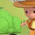 Don T Mistake This Kiwi Bird For The Fruit Leo The Wildlife Ranger Shorts Education Kids
