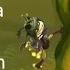 Rayman Legends DEC 2020 05 31 The Infinite Tower New PB