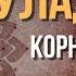 1 чакра Муладхара За что отвечает чакра Муладхара Где находится корневая чакра Муладхара