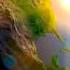 Cool And Calm Israel Vibration
