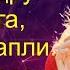 Они были похожи друг на друга как две капли И я попалась в паучьи сети