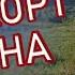 Башҡорт улына Алмаз һәм Азамат Таһировтар башҡара