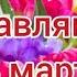Поздравление маме на 8 марта Стихи для мамы от детей