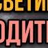 Света и её родители Вся правда про родителей и сестёр Светы Все серии Страшилки от Светы