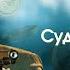 Судьба на грани 2 серия узбекский сериал на русском языке Qil Ustidagi Taqdir