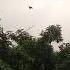 A 20 Minutes Time Laps Of Rain And The Sun Weathertoday Weathernerd