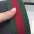Gucci Interlocking G Pure Web Belt Green Red Black Shorts
