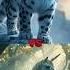 5 Epic Beast Battles Wild Vs Mythical Creatures Who Wins