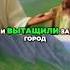 Павла побили камнями Проповедь гонения и ученики